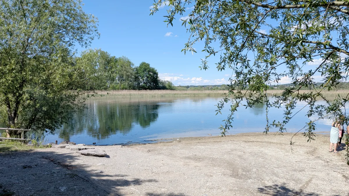 Blick auf einen See mit Ufer und Schilf.